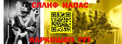 сатива Нальчик